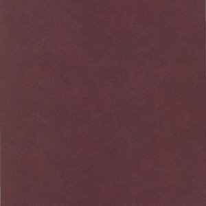 Slægten BUGGE i Norge og Danmark (pdf-fil til nedlasting)