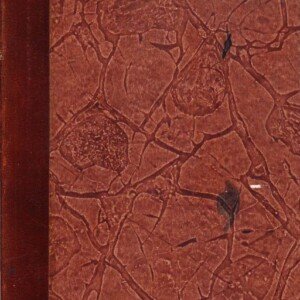 Christiania borgerbok 1698-1799 (pdf-fil til nedlasting)