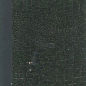 Slegten Michelet (pdf-fil til nedlasting)