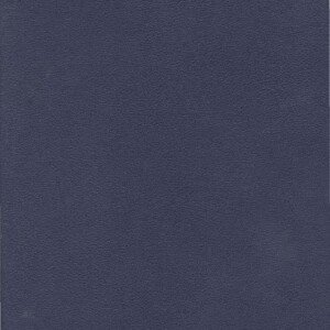 Optegnelser vedrørerende Familien KIØRBOE (pdf-fil til nedlasting)